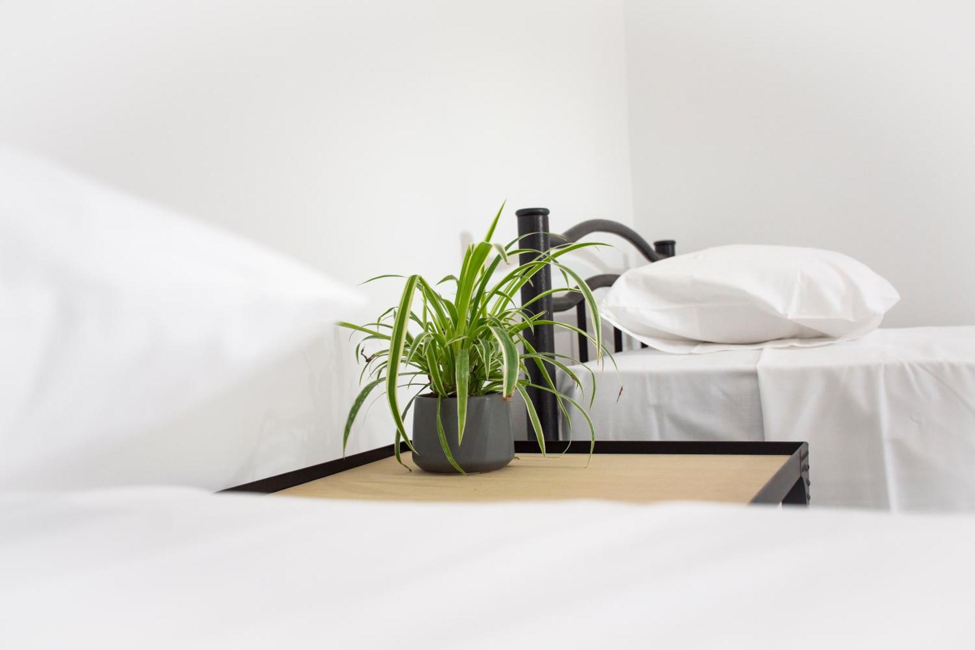 Christina Apartment Kissamos Ngoại thất bức ảnh